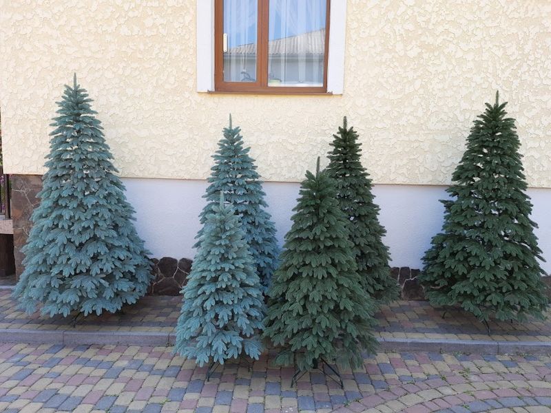 Лита ялинка Швейцарська 2.10м. зелена 1447758501 фото