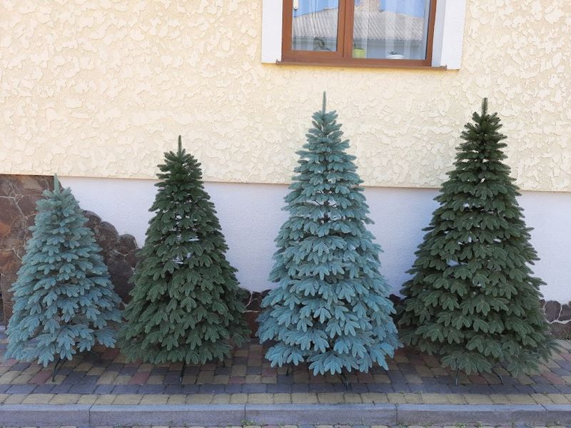 Лита ялинка Швейцарська 2.10м. зелена 1447758501 фото