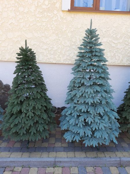 Лита ялинка Швейцарська 1.80 м. зелена 1447771271 фото