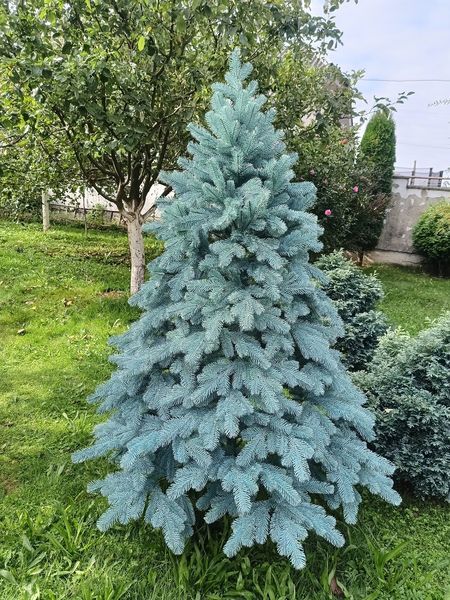 Лита ялинка Елітна 1.50 м. блакитна / Штучна пластикова ялинка 813883705 фото