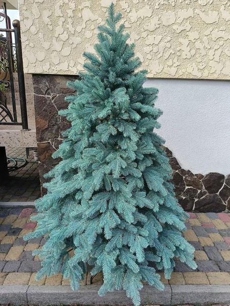 Литая елка Ковалевская 1.50 м. голубая / Искусственная пластиковая елка 1951597327 фото