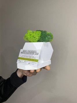 Подставка под телефон и визитки деревянная белая со стабилизированным мхом микс зелёный салатовый 12*8 см 45819498 фото